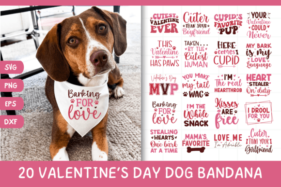 Cute Valentines Day Dog Bandana Bundle Review